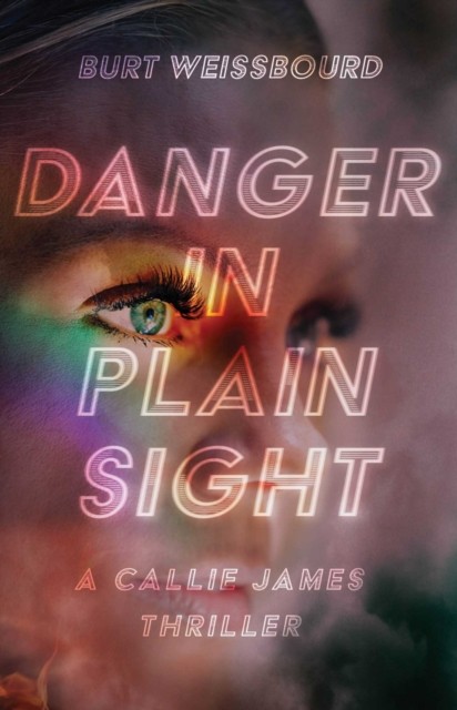 Danger in Plain Sight by Burt Weissbourd (Paperback Book)