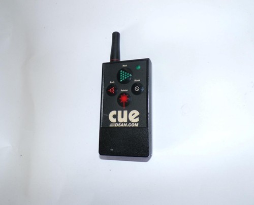 Dsan Perfect Cue Wireless Presentation Remote Clicker Transmitter (B4205)