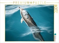 Calvendo Puzzle Madeira's Friendly Sea Creatures | 2000 Pieces, Finished Size 35