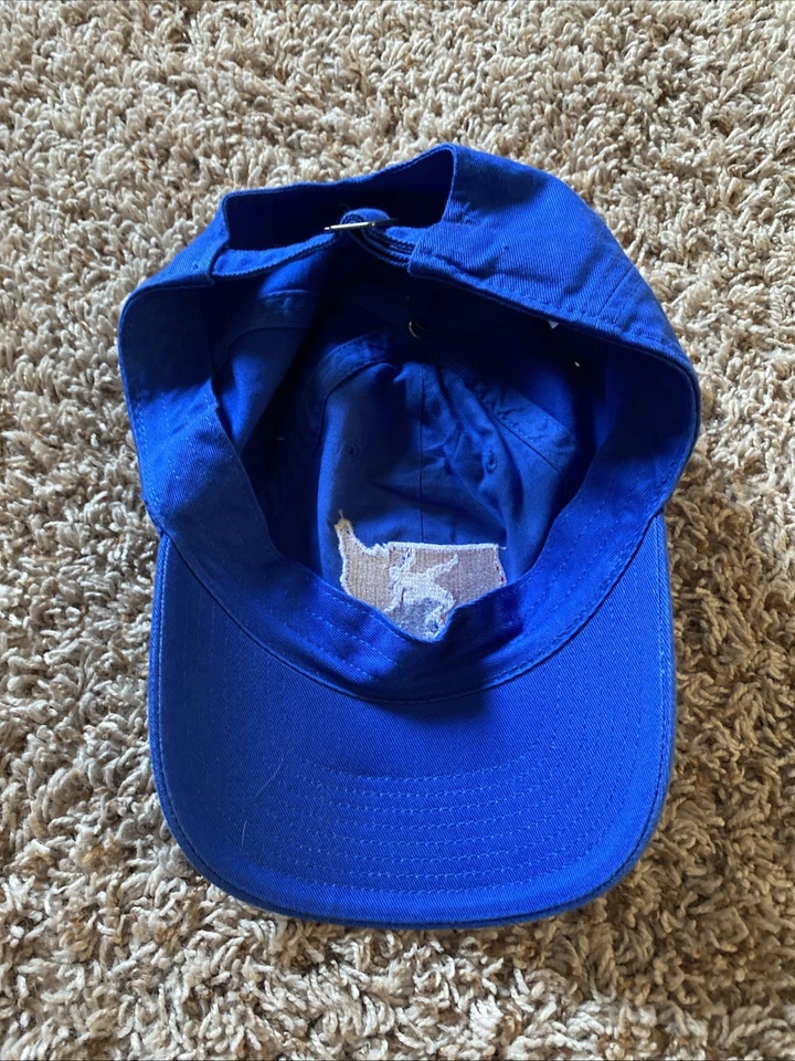 Gorra Nike de lucha libre de Estados Unidos talla 1 Foto 2 de 4