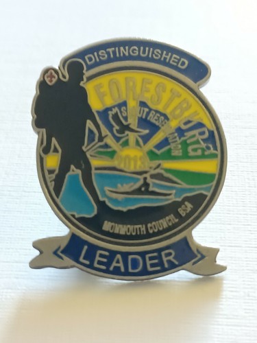 Boy Scouts Distinguished Forestburg Leader (Mommouth Council)- Lapel Hat Pin