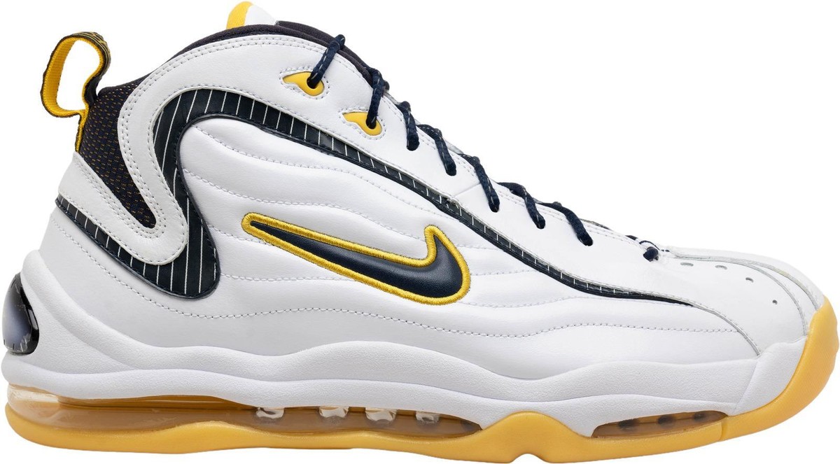 Nike Air Total Max Uptempo Le Hoh Gray for Sale