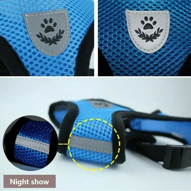 Dog Harness Cat Harness No Pull Comfort Padded Vest with Leash Size M