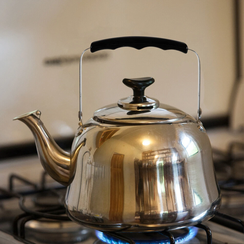 Whistling 2024 stove kettle