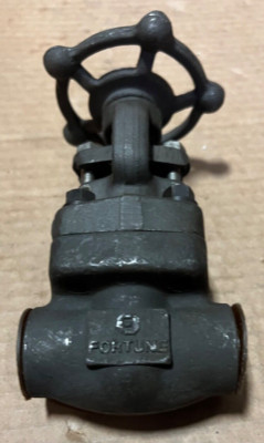 Fortune H-851T 1/2'' Threaded Gate Valve