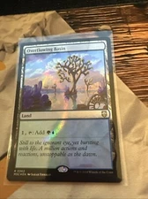 Overflowing Basin - Ripple Foil #0362 (NM) Commander: Modern Horizons 3 M3C Magi