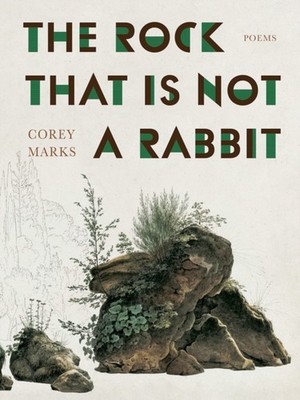The Rock That is Not a Rabbit by Corey Marks PAPERBACK 9780822967156