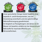 Bild 2 von 6