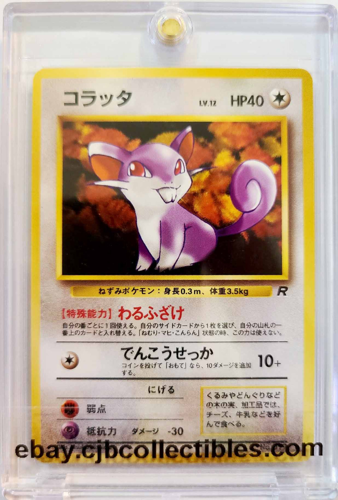 Pokémon RATTATA No. 019 Team Rocket (Japanese) - Near Mint 🍒