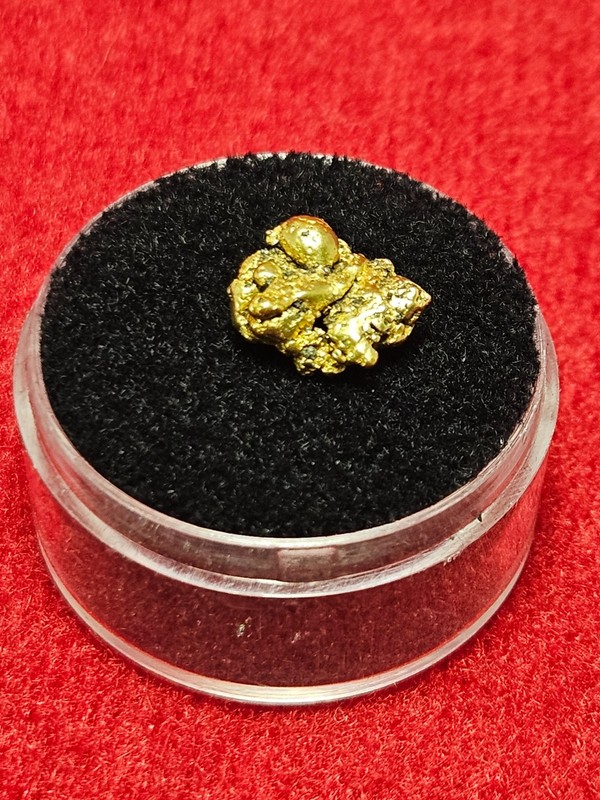California Natural Gold Nugget  2.1  Grams in a Gem jar w/lid