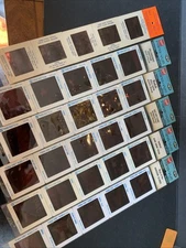 Vintage SOUVENIR SLIDE Lot Pana-Vue Super 35’s Hawaii