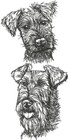Irish Terrier Dog Breed Personalize Embroidered Fleece Stadium Blanket Gift