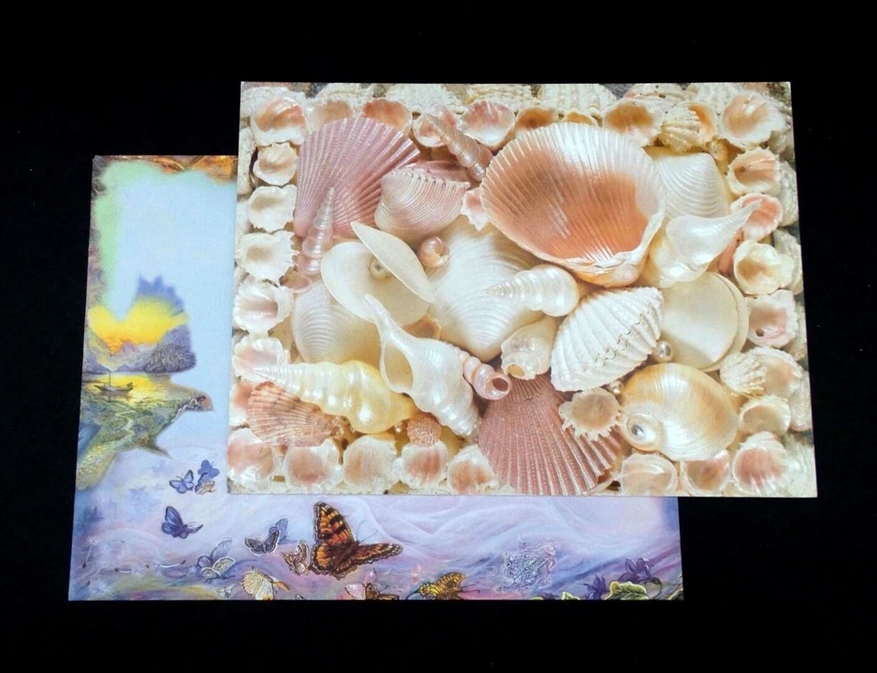 Seashell Thank You Greeting Card Sea Shell Leanin Tree New - Image 4 of 4