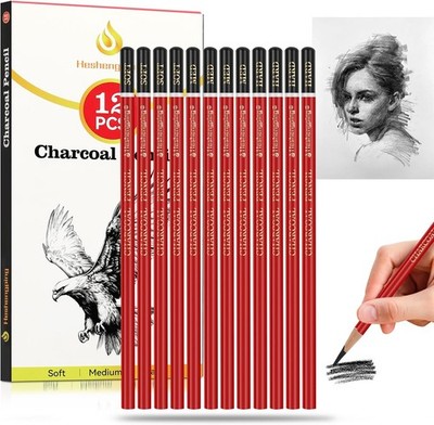 Profal Charcoal Pencils Ding Set -12 Pieces Soft,
