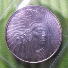 1 oz Bullion Works - Inc Buffalo-Warrior .999 Fine Silver Round