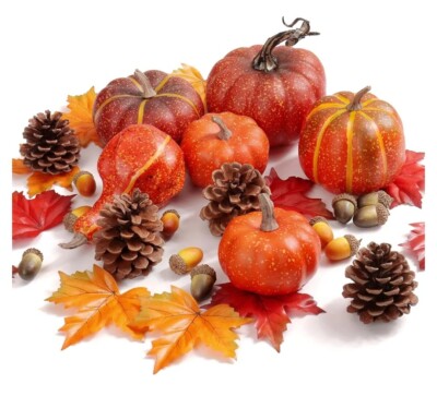 Herbst Deko Kürbisse Tannenzapfen Blätter Tisch Herzstück Herbst Deko Set