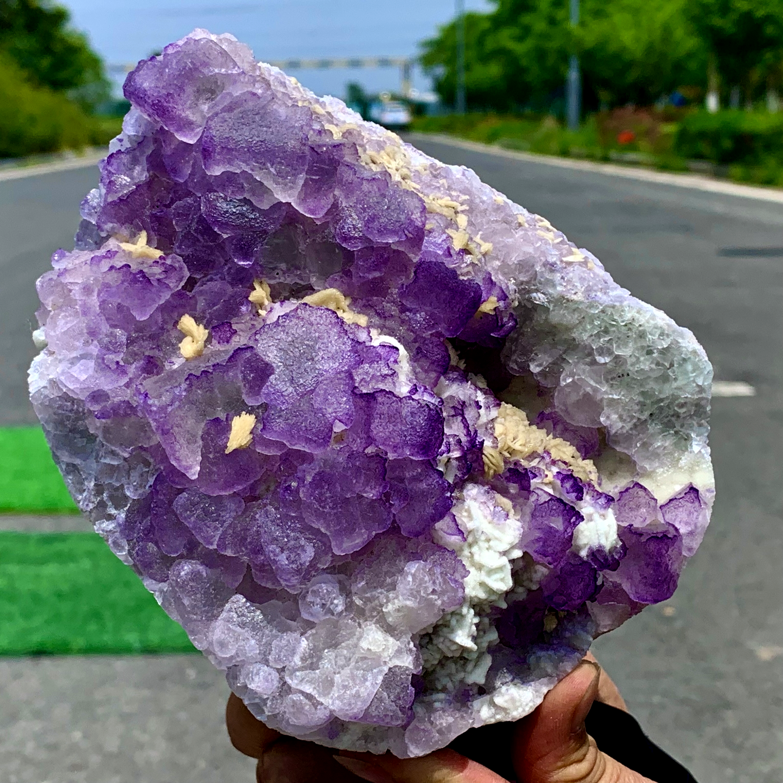 3.5LB Natural transparent purple fluorite mineral crystal sample/China
