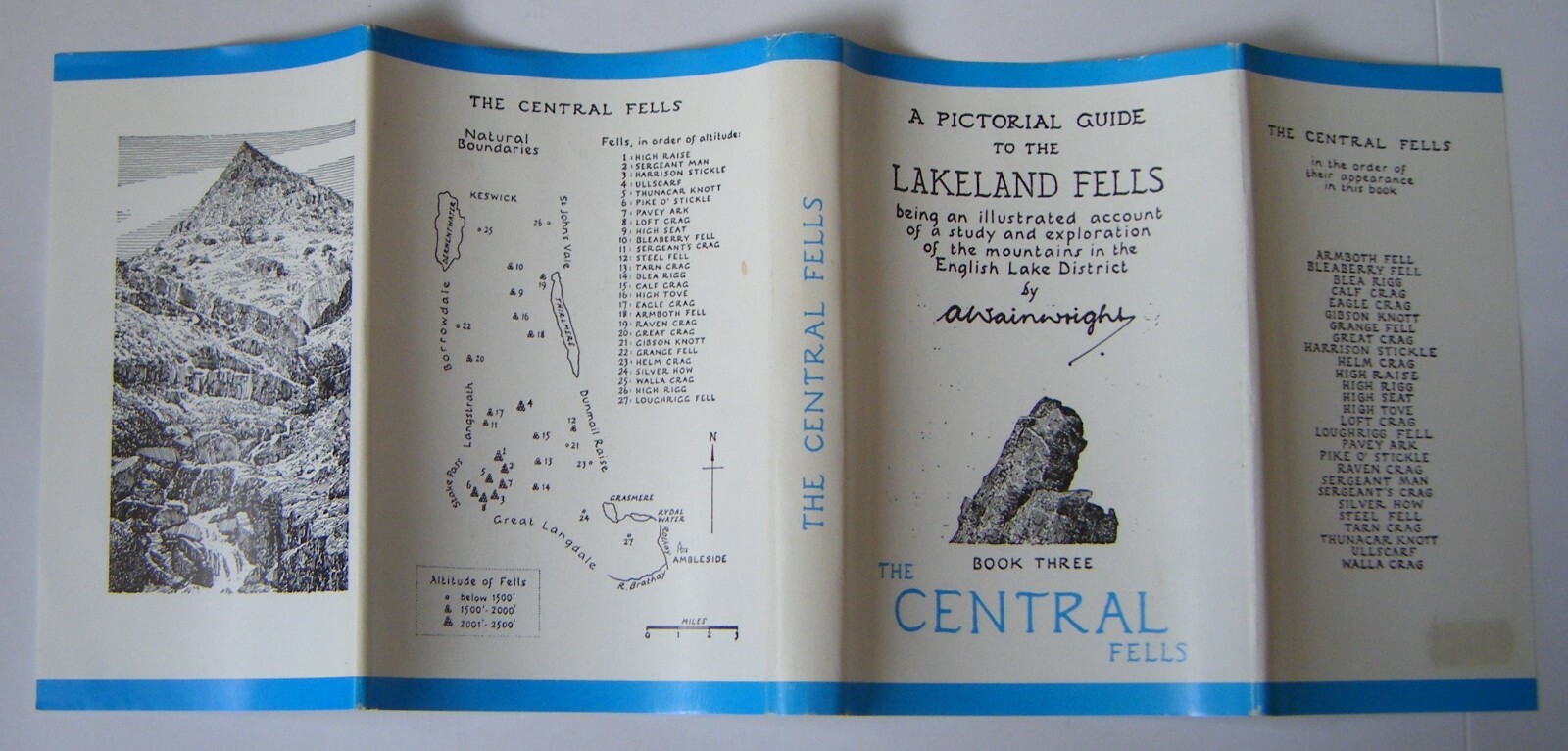 Picture 7 of 7