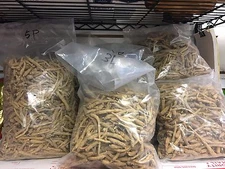 3LBs-5LBs Wholesale 100% American Wisconsin Long Ginseng 美国威州正品小统参/花旗参/西洋参 