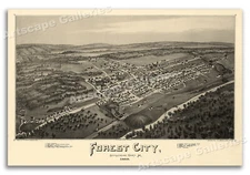 1889 Forest City Pennsylvania Vintage Old Panoramic City Map - 24x36