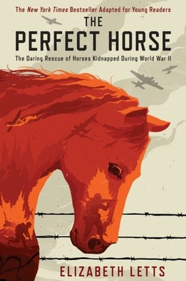 Perfect Horse by Elizabeth Letts PAPERBACK 9780525644774