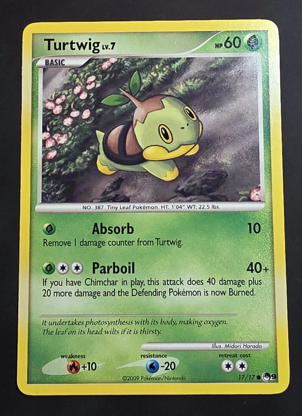Pokémon Turtwig Lv.7 17/17 Card - 2009 Set - TCG Basic English