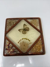 Vintage Retro Lucite Trivet Butterflies Dried Flowers & Beans