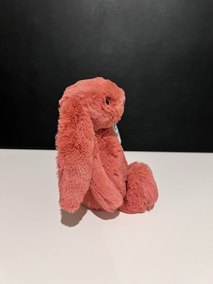AUTHENTIC‼️ NWT Jellycat SMALL bashful cinnamon Bunny 7