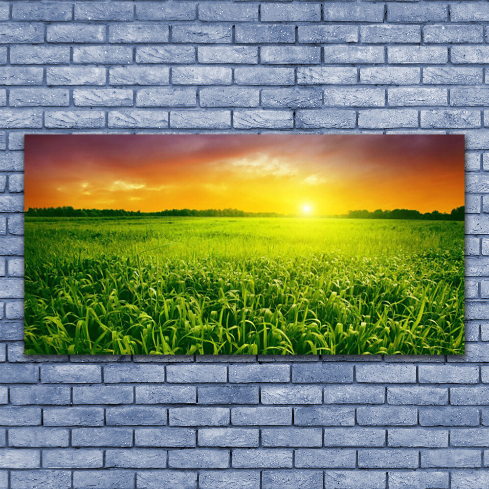 Tableau Plexiglas Grand Format 140x70 cm Paysage Champ de Blé