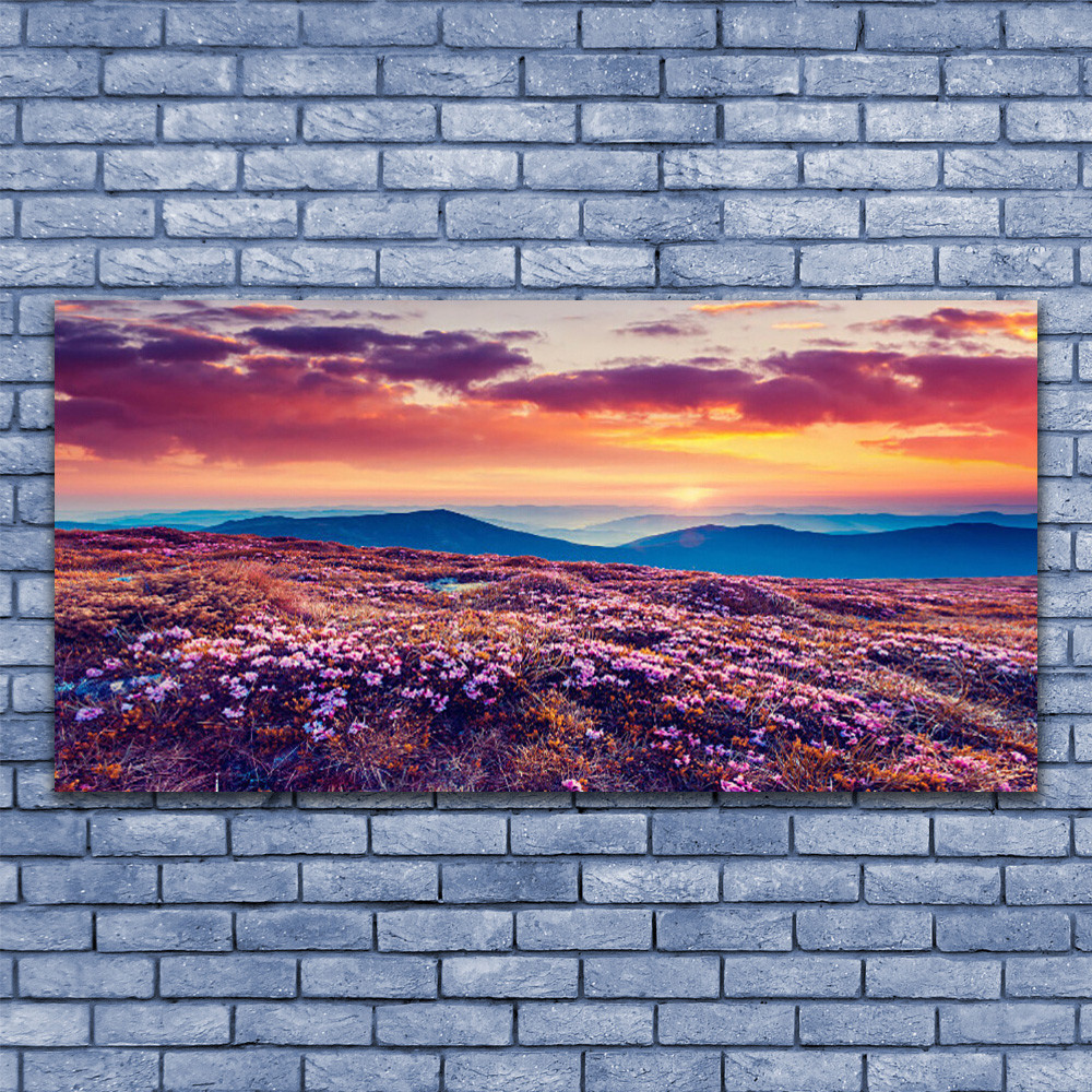 Tableau Prairie et Montagnes sous verre acrylique 140x70 cm