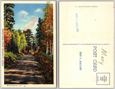 #ad #ad Mankato Minnesota Forest Road Postcard $3.99
