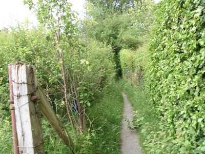 Foto 6x4 Richtungswechsel [2] Fiddington Sands Ein Blick entlang des Weges c2017