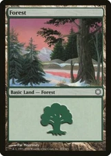 Forest (383) Coldsnap Theme Decks NM Basic Land MAGIC GATHERING CARD ABUGames
