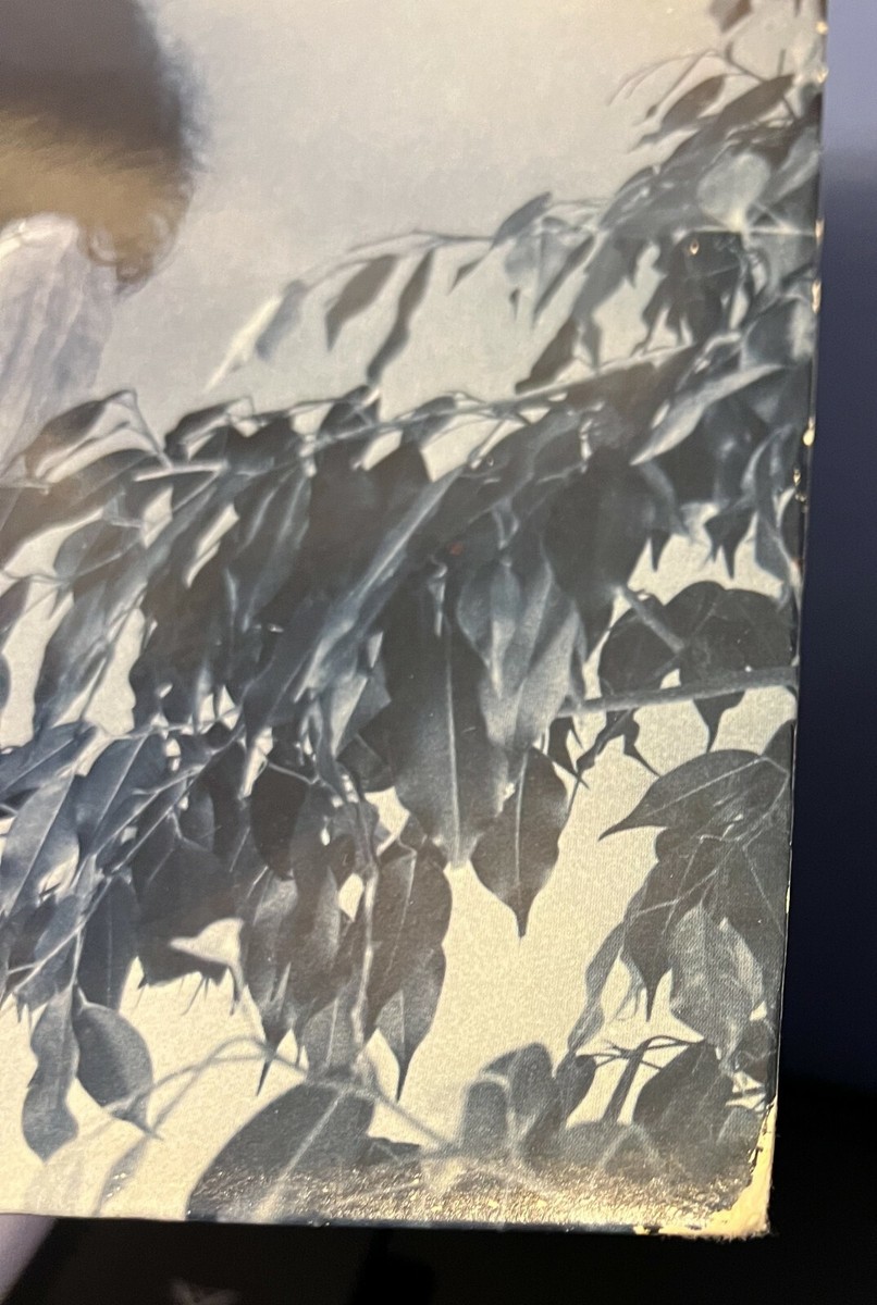 Patti Smith signed Wave 12