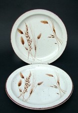 TWO Midwinter Stonehenge Wild Oats Dinner Plates 26.5cm (10.25") Look in VGC