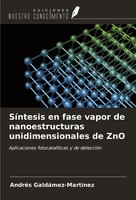 AndréS GaldáMez-MartíNez | SíNtesis En Fase Vapor De Nanoestructuras...