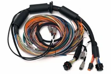 Haltech HT-183200 HAL NEXUS Wire-In Harnesses