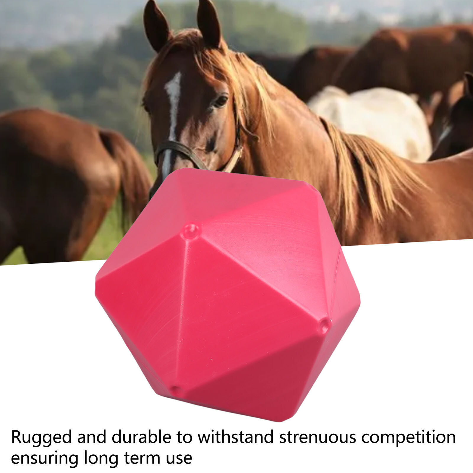 Horse Treat Ball Fun Polygon Slow Feed Hay Ball Horse Play Toy Ball Feeder eBay