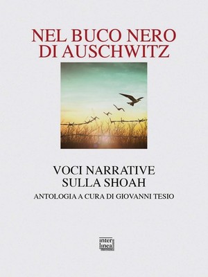 Giovanni Tesio Nel buco nero di Auschwitz. Voci narrative sulla Shoa (Paperback)