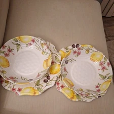 2 Place Settings SHABBY CHIC MELAMINE Lemon Olive Floral Dinner Plate & Bowl Set