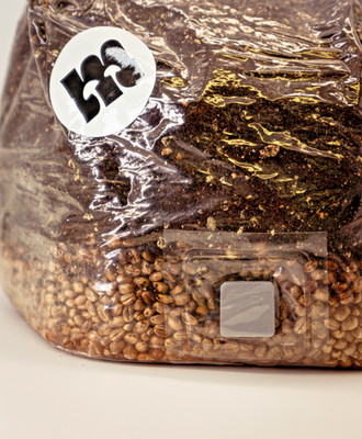 All-in-One Pilzsubstrat 3L steril Mushroom Grow Bag Grain Spawn CVG Pilzzucht