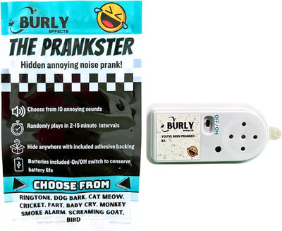 Hidden Noise Maker Gag Prank - 10 Different Sounds - Ringtone, Dog, Cat, Cricket