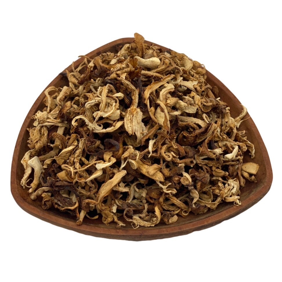 Hongo ostra seca premium orgánico ceilán