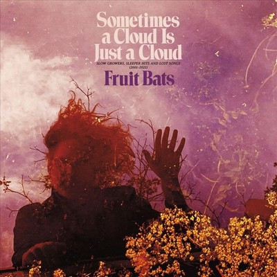 SOMETIMES A CLOUD IS JUST A CLOUD: SLOW GROWERS, SLEEPER HITS AND LOST [1/28] *