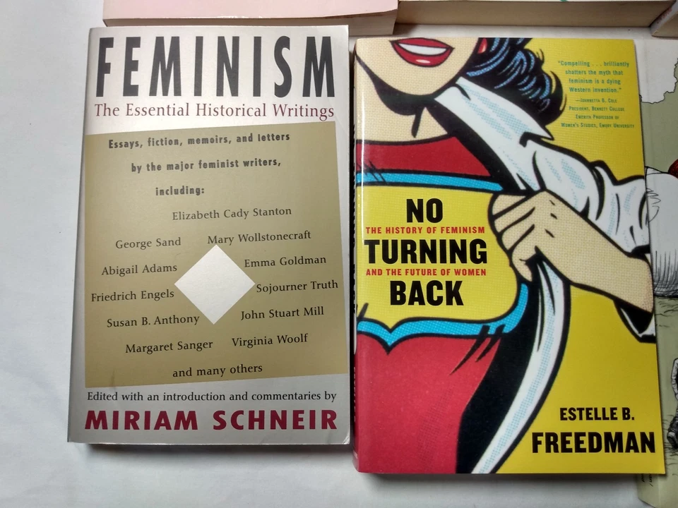 Philosophy Women's Studies Lot Feminism History Political Social Theory Foto 4 de 4