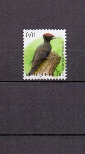 BELGIUM 2009 black woodpecker buzin bird  mnh**  3939