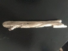 California Coastal Driftwood small reptile enclosure tank malibu art decoration