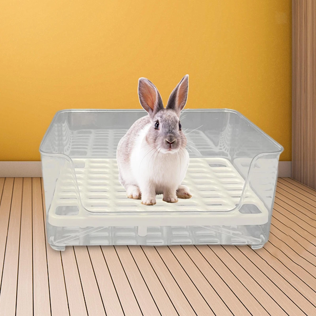 Litter for top rabbit litter box