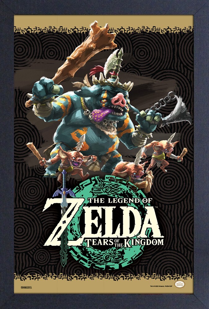 ZELDA TEARS OF THE KINGDOM TOTK ENEMIES 12x18 FRAMED GELCOAT