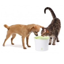 cat drinking fountain target australia